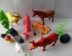 BỘ ĐỘNG VẬT NUÔI