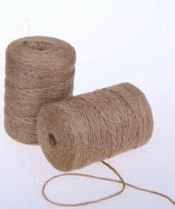 Dây bố nhỏ