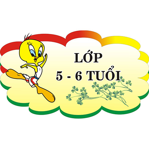 Đồ chơi 5-6 tuổi