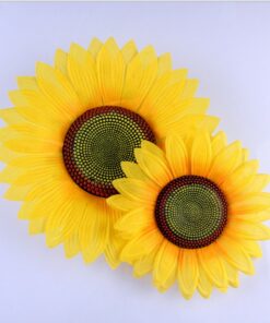 Hoa múa lớn 30 cm